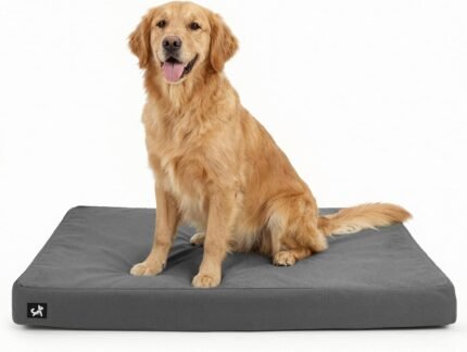 Sytopia 42 Inch XL Durable Canvas Dog Bed for Large Dogs, Waterproof Canvas Orthopedic Pet Bed with Washable Removable Cover & Non-Slip Bottom, Outdoor Use, Dark Grey