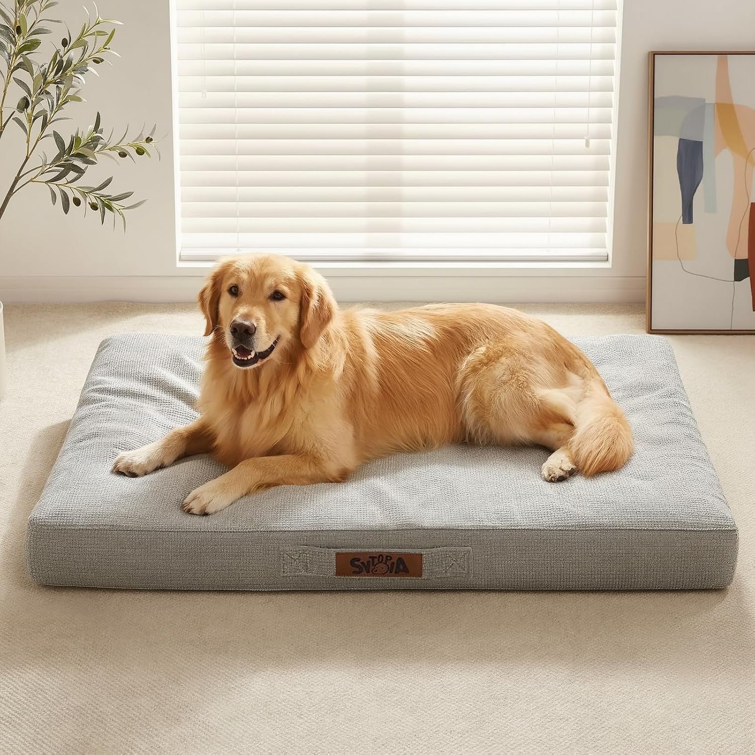 Sytopia Indestructible Dog Bed 42″ XL, Chew Proof Dog Bed, Orthopedic Waterproof Pet Bed, Chew-Resistant Dog beds Large Sized Dog 90 lbs, Washable Indoor & Outdoor Dog pad, Light Grey Sytopia Indestructible Dog Bed 42″ XL, Chew Proof Dog Bed, Orthopedic Waterproof Pet Bed, Chew-Resistant Dog beds Large Sized Dog 90 lbs, Washable Indoor & Outdoor Dog pad, Light Grey