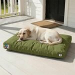 Sytopia42 Inch Indestructible Dog Bed for Aggressive Chewers, Chew Proof Durable Outdoor Canvas Pet Crate Mat with Waterproof Washable Removable Cover, Indoor Patio Pet Pad for Crate, Green