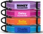 TagME Personalized Dog Collar with Name, Reflective, Small to Large Dogs
