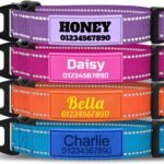 TagME Personalized Dog Collar with Name, Reflective, Small to Large Dogs