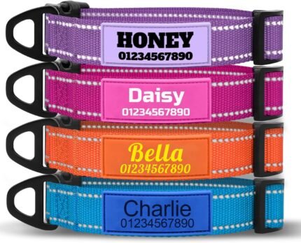TagME Personalized Dog Collar with Name, Reflective, Small to Large Dogs