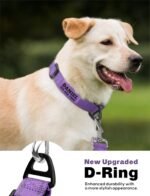 TagME Personalized Dog Collar with Name, Reflective, Small to Large Dogs - Image 2