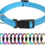 TagME Small Dog Collar, Reflective Puppy Collar, Sky Blue, 3/8″ Width