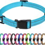 TagME Small Dog Collar, Reflective Puppy Collar, Sky Blue, 5/8″ Width