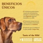 Taste of the Wild High Prairie Adult Dry Dog Food, Roasted Bison, 14lb - Image 2