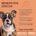 Taste of the Wild High Prairie Puppy Dry Dog Food, Roasted Bison, 28lb - Image 2