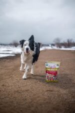 Tender & True Pet Nutrition Farmers Market Recipe Freeze Dry Raw Dog Food, 1 lb. - Image 2