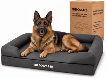 The Dog’s Bed Orthopedic Memory Foam Dog Bed with Bolsters for XL Dogs