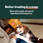 The Farmer's Dog Snap Sticks, Human Grade Dog Treats, Beef & Apple 3oz - Image 2