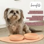 The Perfect Dish - Silicone Dog Bowl for Food & Water, 6" x 1.25"-Sage - Image 2