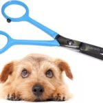 Tiny Trim 4.5″ Ball-Tipped Scissor for Dog, Cat and all Pet Grooming – Ear, Nose, Face & Paw – Scaredy Cut’s small Safety Scissor Blue