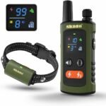 Training Collar for Dogs with Remote Control, Green