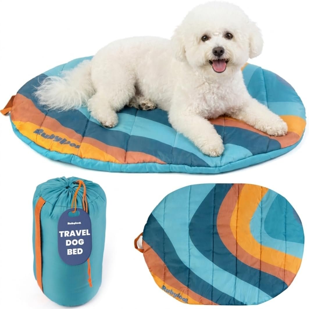 Travel Dog Bed, 30x22in, Foldable & Packable with Carry Bag, Teal Travel Dog Bed, 30x22in, Foldable & Packable with Carry Bag, Teal