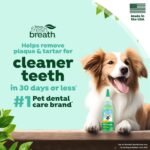 TropiClean Oral Care Brushing Gel for Dogs & Cats| Dog Toothpaste | Pet Dental Gel | Dog Teeth Cleaning Use with Pet Toothbrush | 2 oz - Image 2