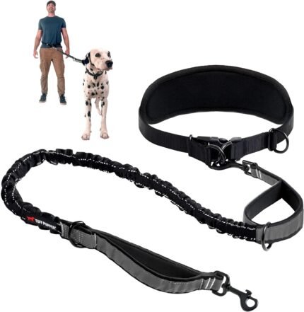 Tuff Pupper Hands Free Bungee Dog Leash, Waist Belt for Running & Walking