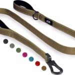 Twoear 6FT 1IN Heavy Duty Dog Leash for Large Dogs with 2 Padded Handles