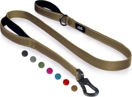 Twoear 6FT 1IN Heavy Duty Dog Leash for Large Dogs with 2 Padded Handles