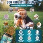 VICSOM Dog Allergy Relief & Probiotic Chews Bundle, 200 Count Each - Chicken Flavor Soft Chewswith Probiotics, Omega-3, Colostrum & Digestive Enzymes for Skin, Coat & Gut Support - Image 2