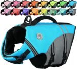 VIVAGLORY Dog Life Vest Sports Style Dog Swim Vest, M, Blue