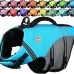 VIVAGLORY Dog Life Vest Sports Style Dog Swim Vest, M, Blue