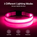 VIZPET LED Dog Collar, Light up Dog Collar Adjustable Safety Glowing Collar - Image 2