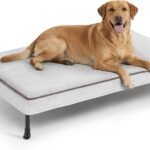 Veehoo Cooling Elevated Dog Bed with Washable & Waterproof Padded Cover