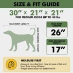 Veraste 30 in Collapsible Dog Crate for Medium Dogs, 4 Door Kennel,Green - Image 2