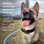 Veterinary Formula Clinical Care Hot Spot & Itch Relief Pet Shampoo, 16 oz - Image 2