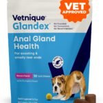 Vetnique Glandex for Dogs Anal Gland Chews 30ct Pumpkin + Digestive Enzymes