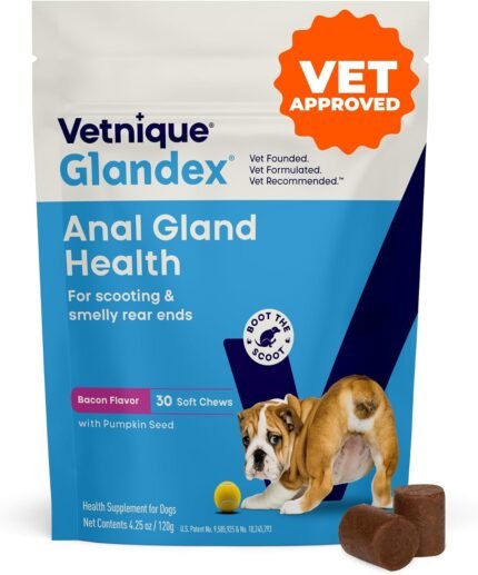 Vetnique Glandex for Dogs Anal Gland Chews 30ct Pumpkin + Digestive Enzymes