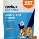 Vetnique Glandex for Dogs Anal Gland Chews 30ct, Pumpkin, Digestive Enzymes