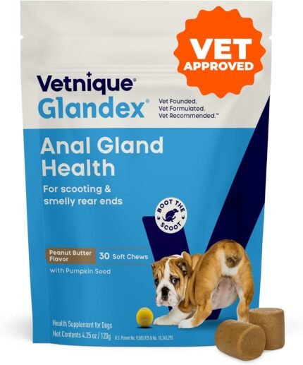 Vetnique Glandex for Dogs Anal Gland Chews 30ct, Pumpkin, Digestive Enzymes