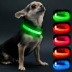 Visinite Light Up Dog Collars for Small Dogs,LED Dog Collar Light Rechargeable,Fully Adjustable Lighted Dog Collar,Glow in The Dark Dog Collars with Dog Lights for Night Walking,Green
