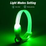 Visinite Light Up Dog Collars for Small Dogs,LED Dog Collar Light Rechargeable,Fully Adjustable Lighted Dog Collar,Glow in The Dark Dog Collars with Dog Lights for Night Walking,Green - Image 2