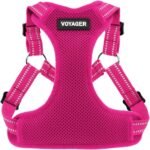 Voyager Step-in Flex Adjustable Dog Harness – Fuchsia, Small
