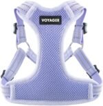 Voyager Step-in Flex Adjustable Dog Harness - Lavender, Medium