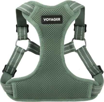 Voyager Step-in Flex Adjustable Dog Harness - Moss Green, Small