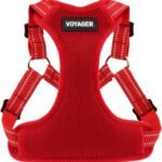 Voyager Step-in Flex Adjustable Dog Harness – Red, Medium