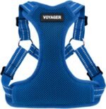 Voyager Step-in Flex Adjustable Dog Harness - Royal Blue, Medium