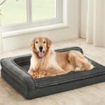WINDRACING Orthopedic Dog Bed for Large Dogs, 40×28 inch, Gray