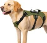 WINGOIN Escape Proof Dog Harness,No Pull for Large Dog with Handle,Green,XL