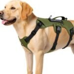 WINGOIN Escape Proof Dog Harness,No Pull for Large Dog with Handle,Green,XL