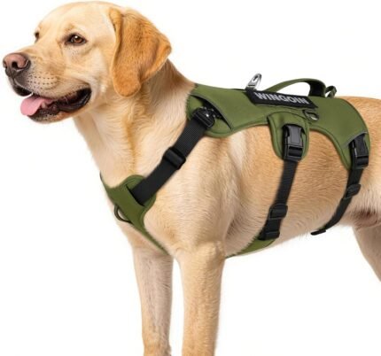 WINGOIN Escape Proof Dog Harness,No Pull for Large Dog with Handle,Green,XL