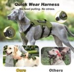 WINGOIN Escape Proof Dog Harness,No Pull for Large Dog with Handle,Green,XL - Image 2