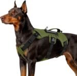 WINGOIN Escape Proof Dog Harness,No Pull for Large Dogs with Handle,Green,L