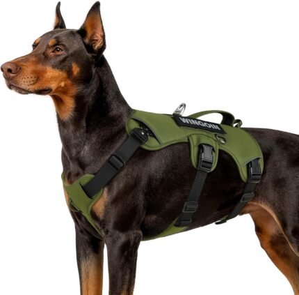 WINGOIN Escape Proof Dog Harness,No Pull for Large Dogs with Handle,Green,L