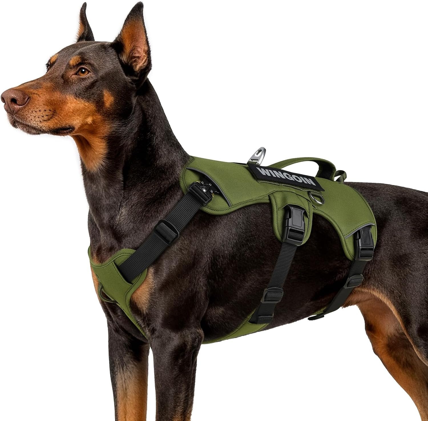 WINGOIN Escape Proof Dog Harness,No Pull for Large Dogs with Handle,Green,L WINGOIN Escape Proof Dog Harness,No Pull for Large Dogs with Handle,Green,L