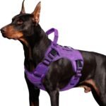 WINGOIN Purple Tactical Dog Harness for Large Dogs,No Pull Dog Harness