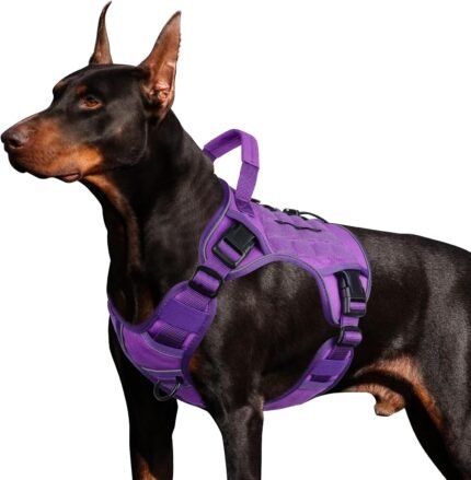 WINGOIN Purple Tactical Dog Harness for Large Dogs,No Pull Dog Harness